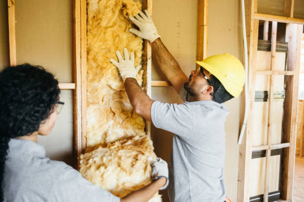 Best Basement Insulation  in Lehighton, PA